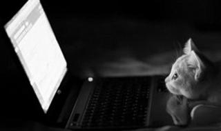 笔记本电脑键盘乱码