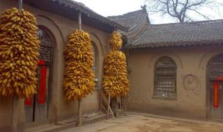 中国面积最大的省份 中国面积最大的省份