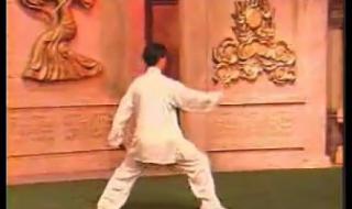 陈正雷老架一路教学 陈正雷老架一路教学