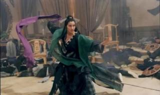 武侠甄子丹 武侠甄子丹