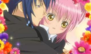 守护甜心亚梦和几斗 守护甜心亚梦和几斗