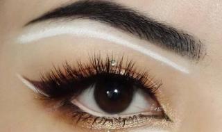 小眼睛的姑娘 小眼睛的姑娘