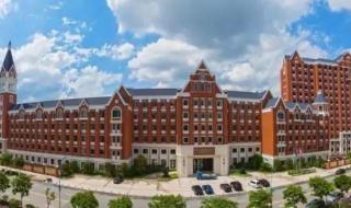 怎样申请公费留学