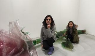 小燕子一家人 小燕子一家人