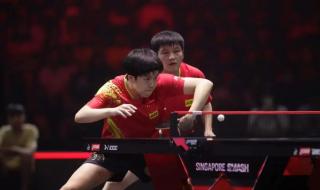 王楚钦樊振东男单决赛